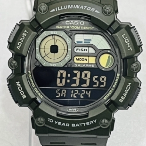 Casio WS-1500H-38VDF