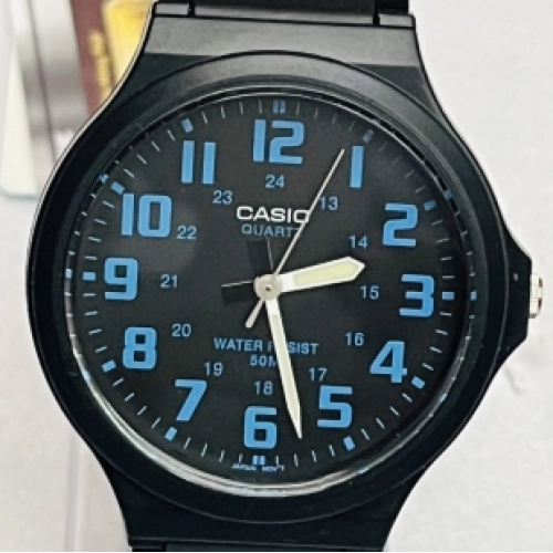 Hiệu Cassio MW-240-2BVDF